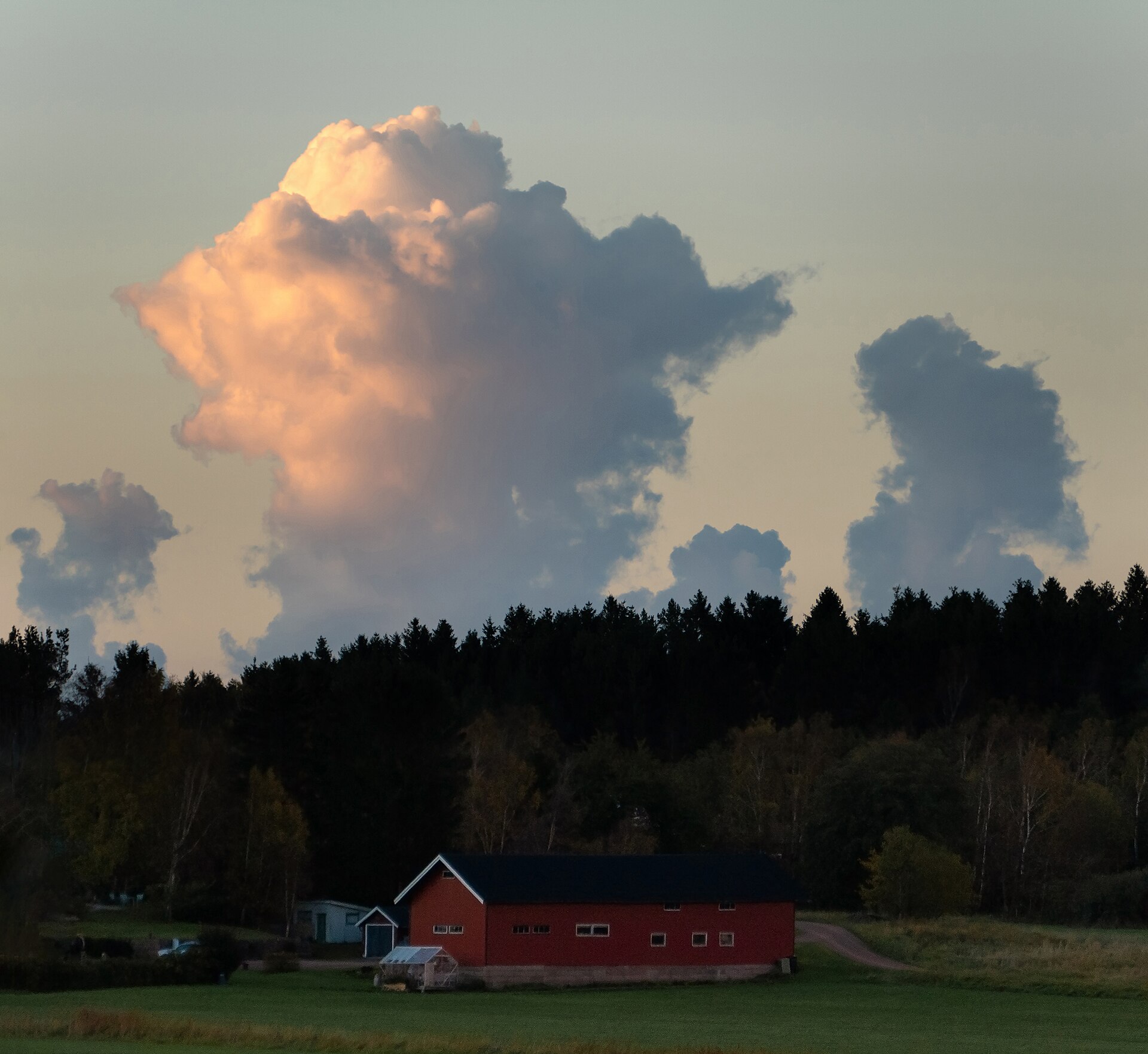 Maple Hollow fields at golden hour